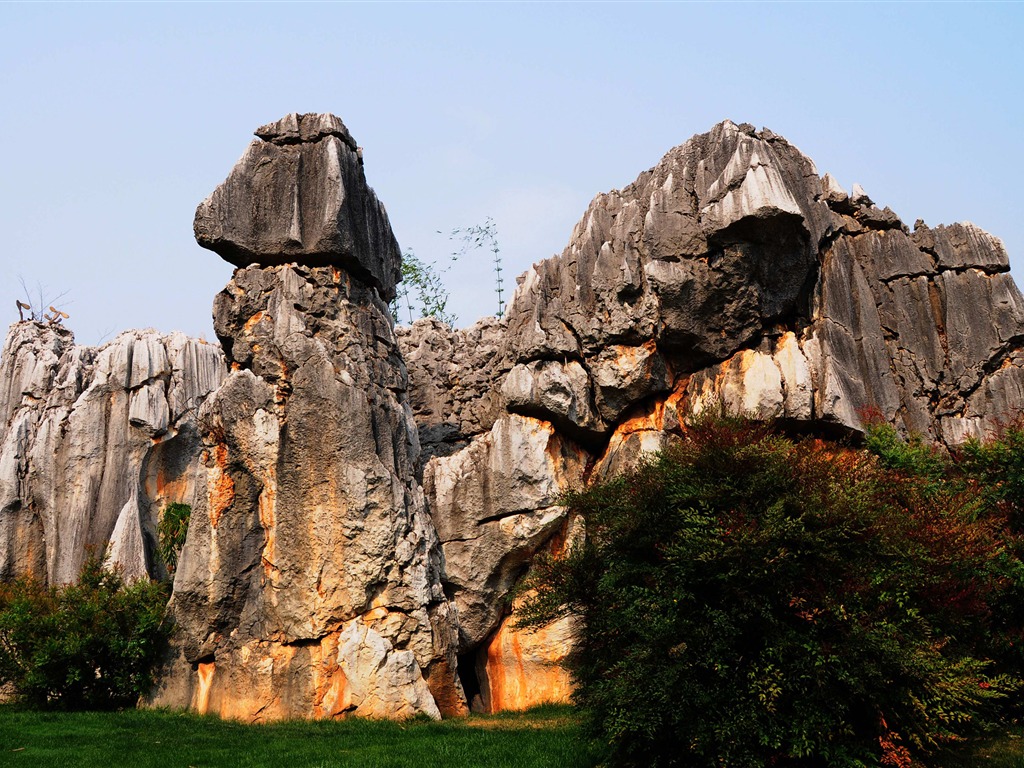 Stone Forest in Yunnan line (2) (Khitan wolf works) #26 - 1024x768