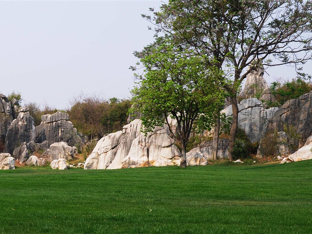 Stone Forest in Yunnan line (2) (Khitan wolf works) #27 - 1024x768