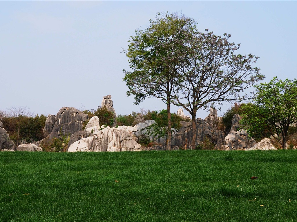 Stone Forest in Yunnan line (2) (Khitan wolf works) #28 - 1024x768