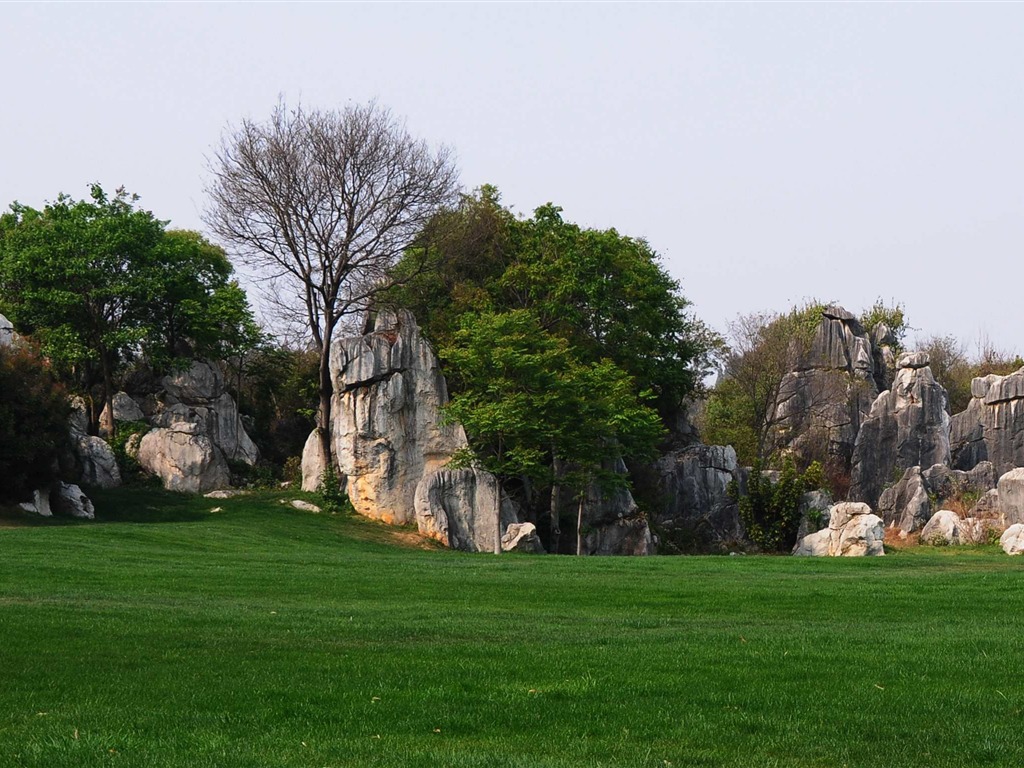 Stone Forest in Yunnan line (2) (Khitan wolf works) #34 - 1024x768