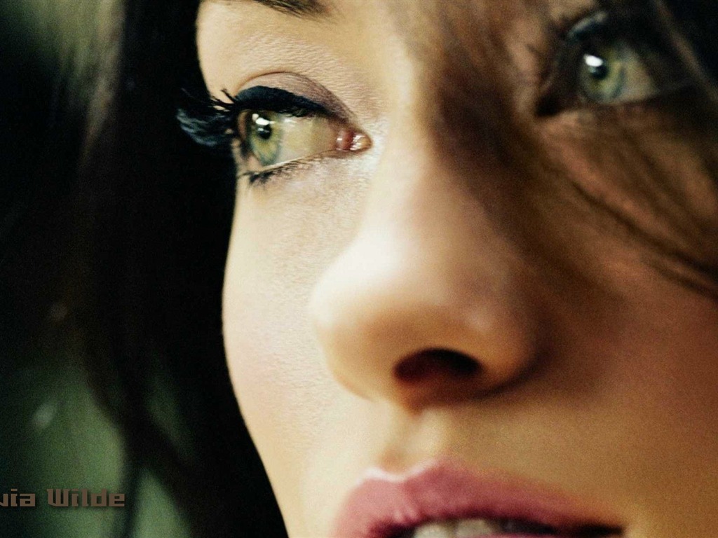 Olivia Wilde 奧利維亞·維爾德 美女壁紙 #6 - 1024x768