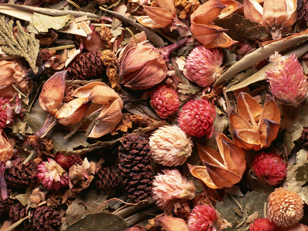 1680 fleurs vertes feuilles fond d'écran (6) #2 - 1024x768