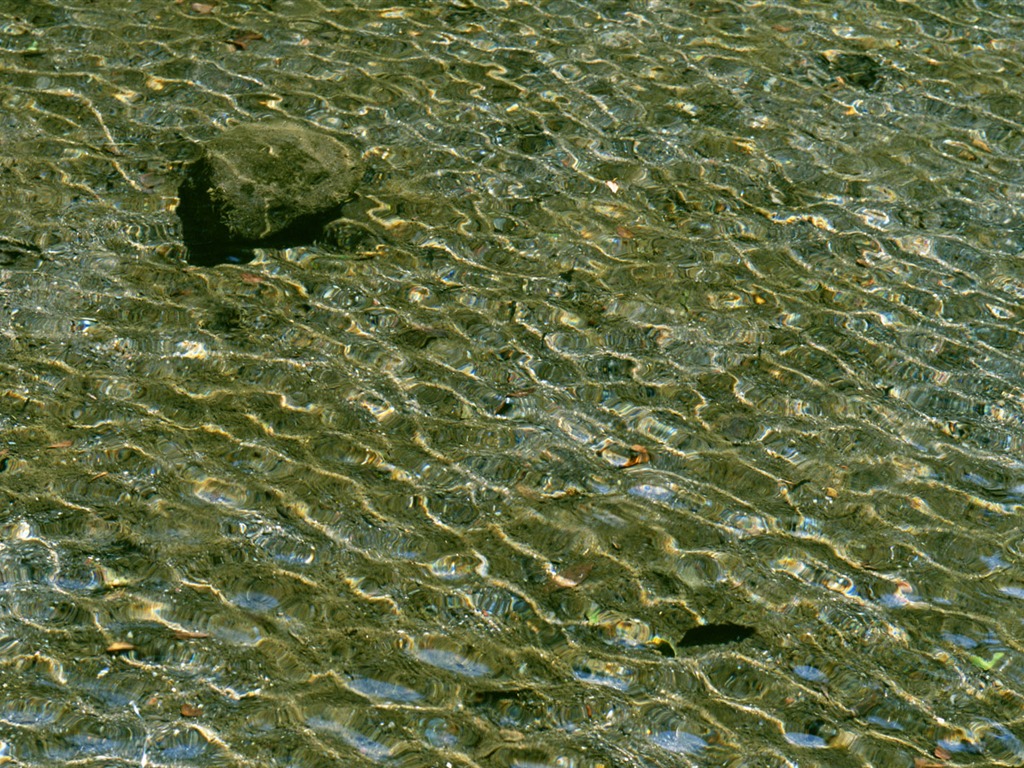 Stream Celovečerní Wallpaper (2) #5 - 1024x768
