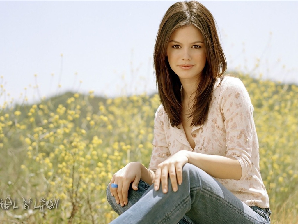 Rachel Bilson 瑞切爾·貝爾森 美女壁紙 #3 - 1024x768