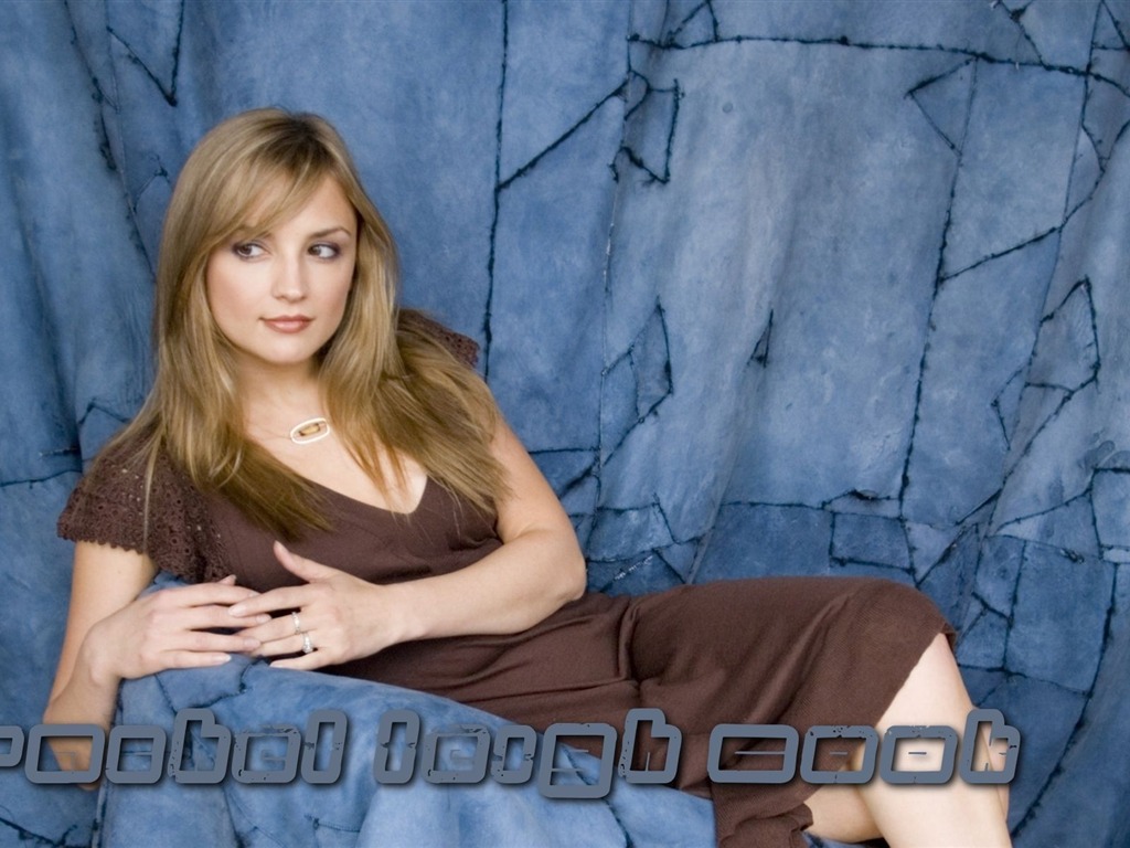 Rachael Leigh Cook krásnou tapetu #12 - 1024x768