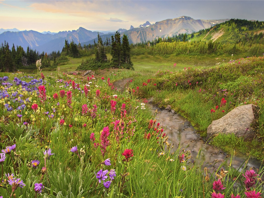 Scenery Collection Wallpapers (12) #18 - 1024x768