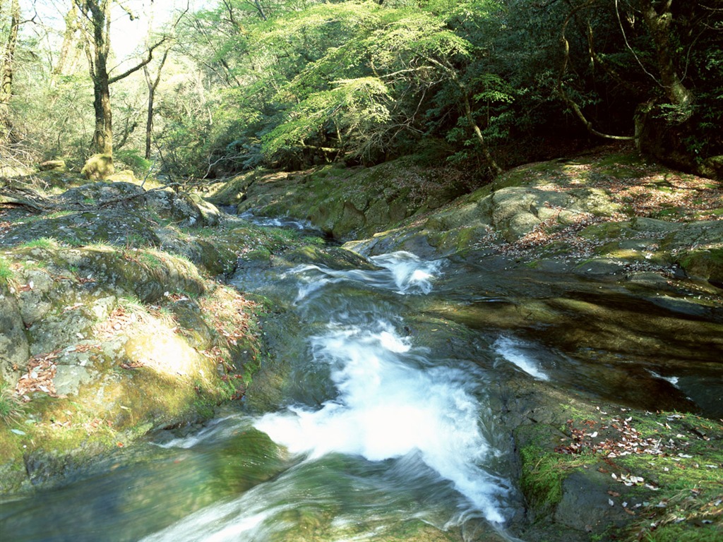 Cascada arroyos fondo de pantalla (1) #4 - 1024x768