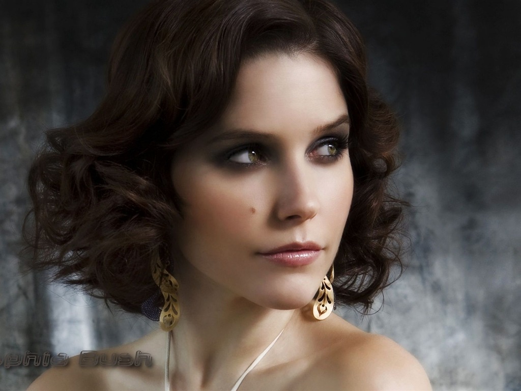 Sophia Bush beau fond d'écran #15 - 1024x768