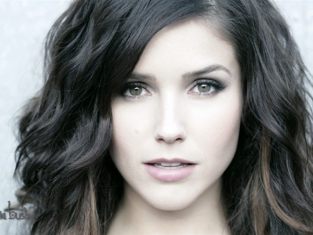 Sophia Bush schöne Tapete #17 - 1024x768