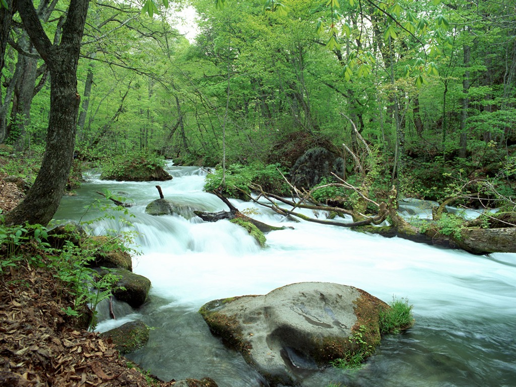 Cascada arroyos fondo de pantalla (2) #4 - 1024x768