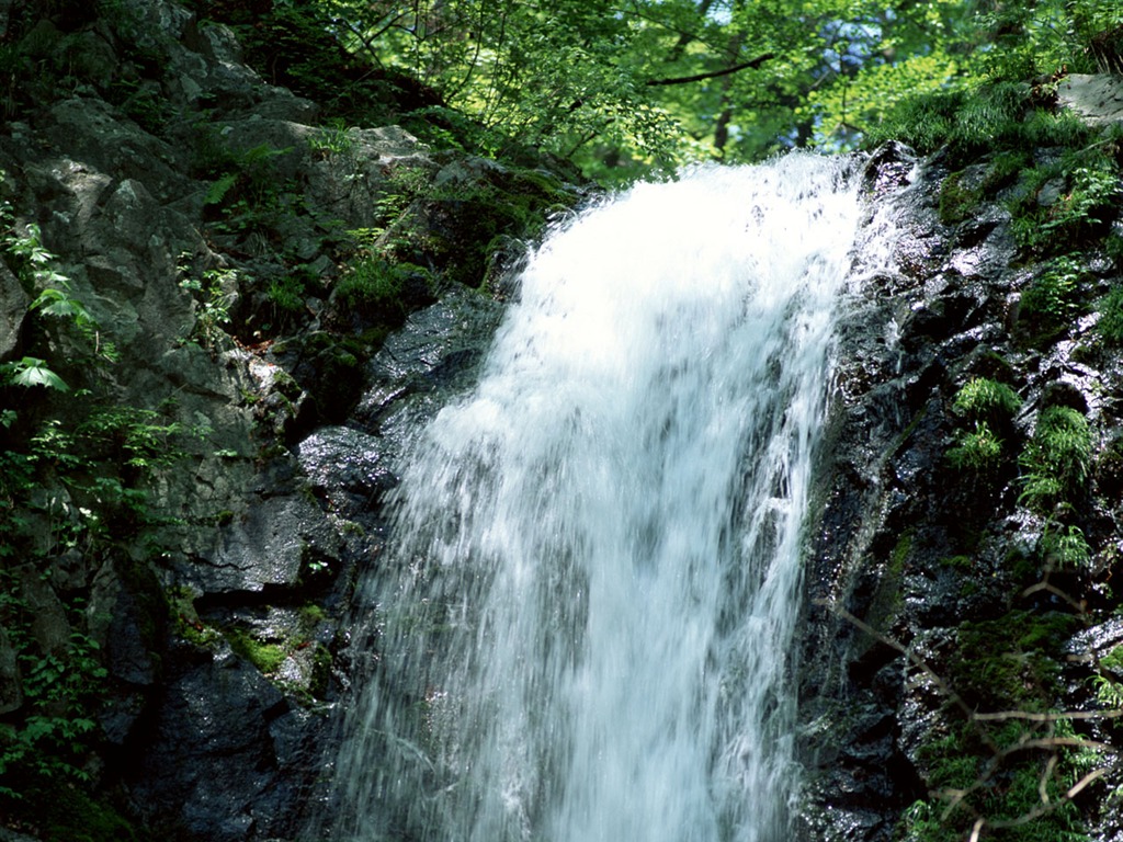 Cascada arroyos fondo de pantalla (2) #8 - 1024x768