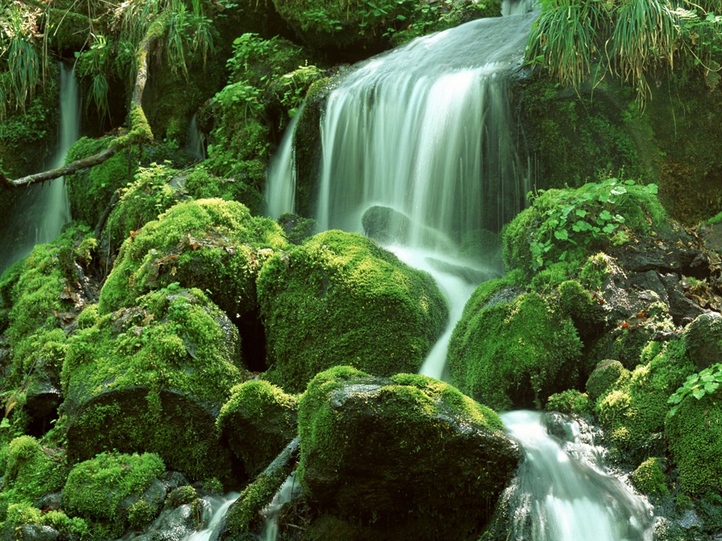 Cascada arroyos fondo de pantalla (2) #14 - 1024x768