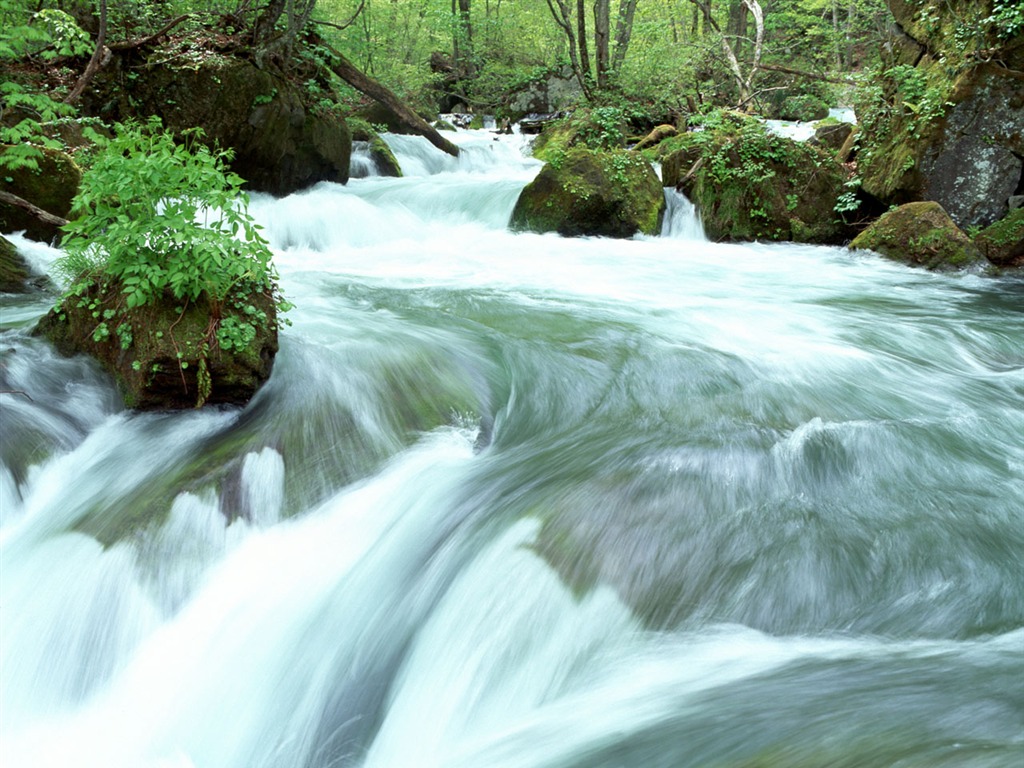 Waterfall-Streams Wallpaper (2) #17 - 1024x768