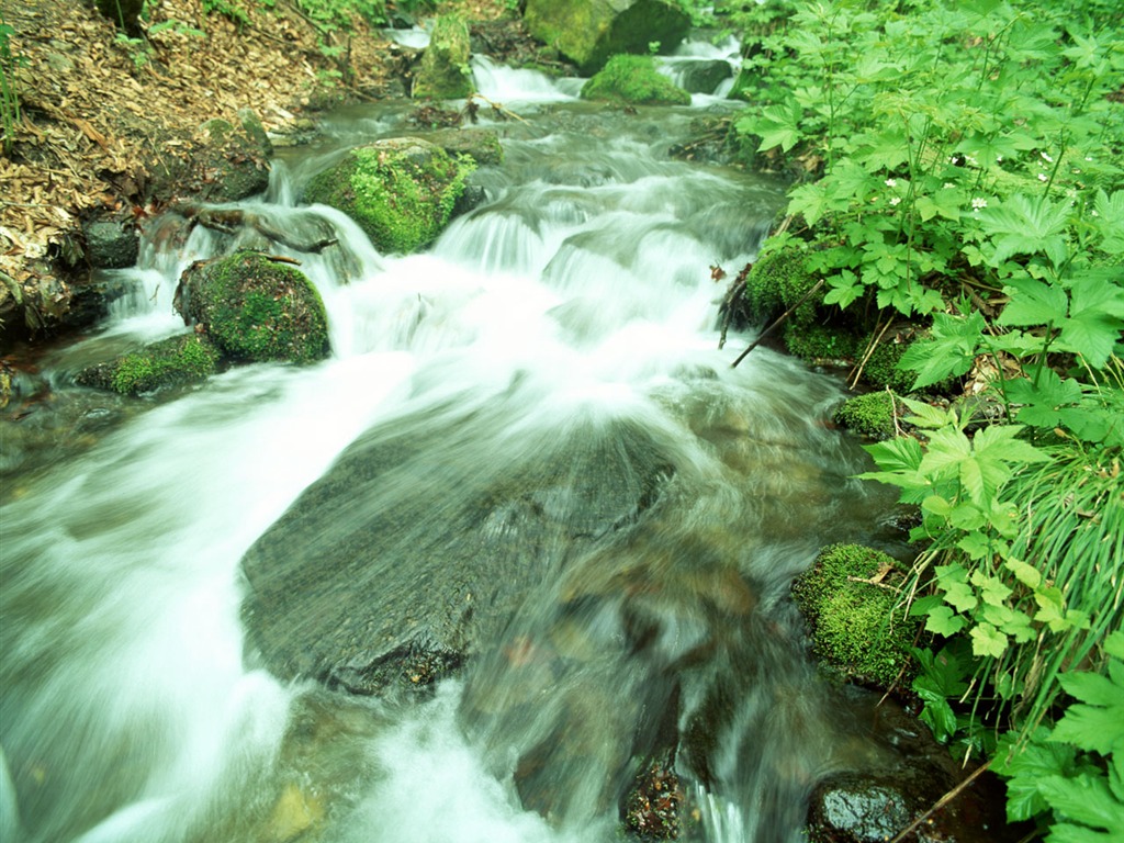 Cascada arroyos fondo de pantalla (2) #20 - 1024x768