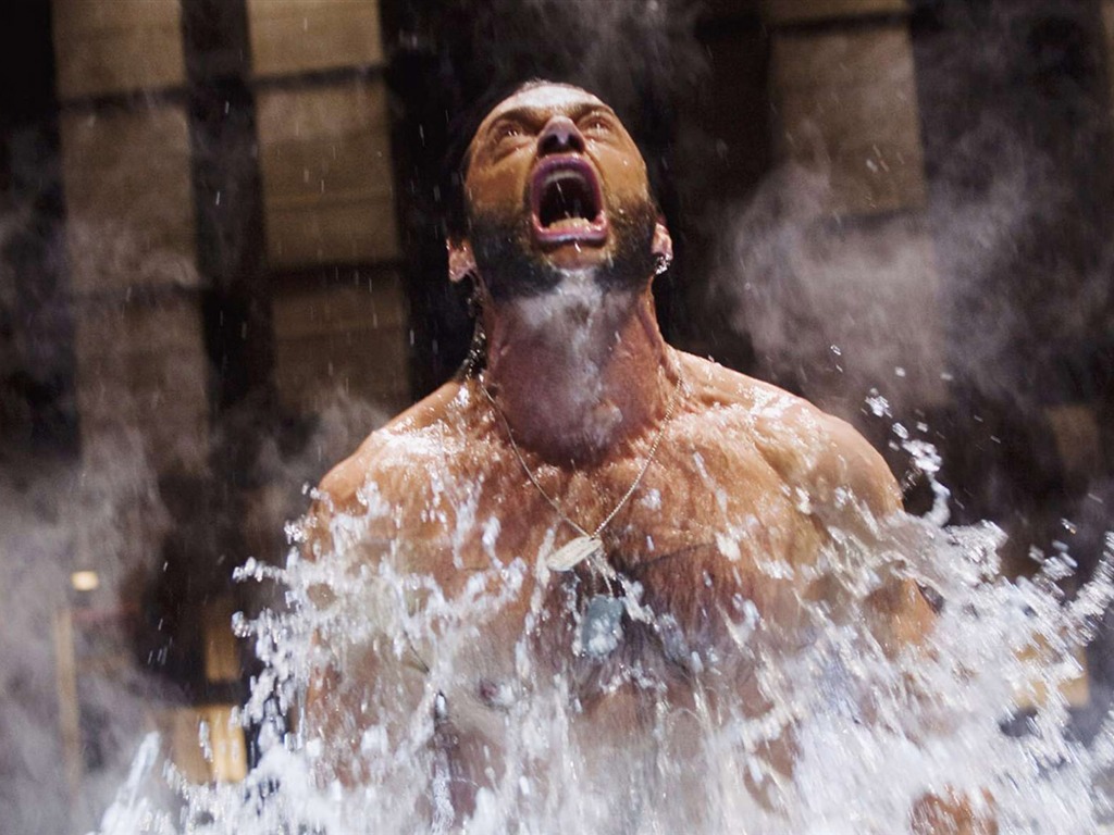 X-Men Origins: Wolverine HD wallpaper #20 - 1024x768