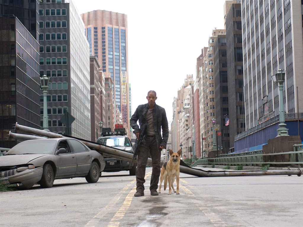 I Am Legend 我是传奇 高清壁纸3 - 1024x768