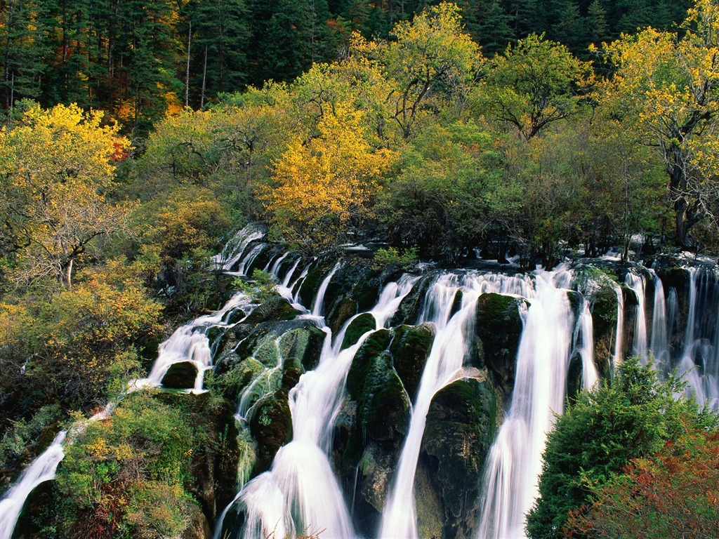 Cascada arroyos fondo de pantalla (5) #3 - 1024x768