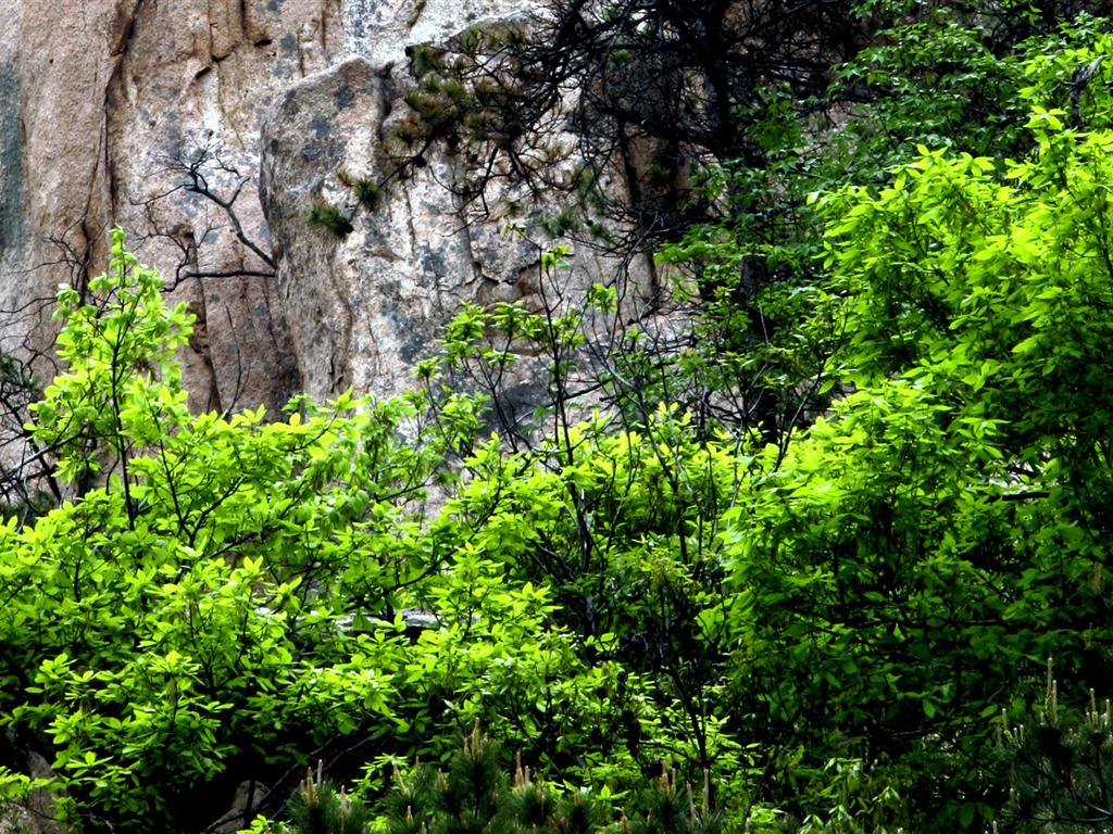 Fotografía de paisaje (2) (Li trabaja Shanquan) #6 - 1024x768