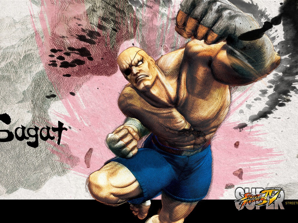 Super Street Fighter 4 HD Wallpapers #10 - 1024x768