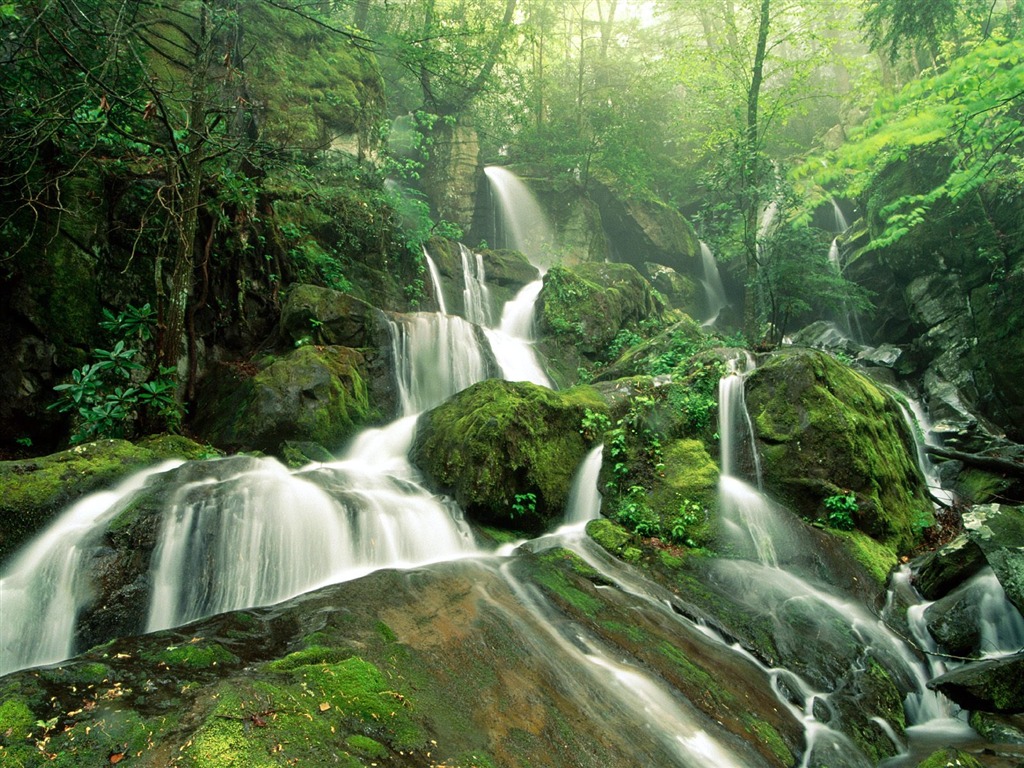 Cascada arroyos fondo de pantalla (6) #6 - 1024x768