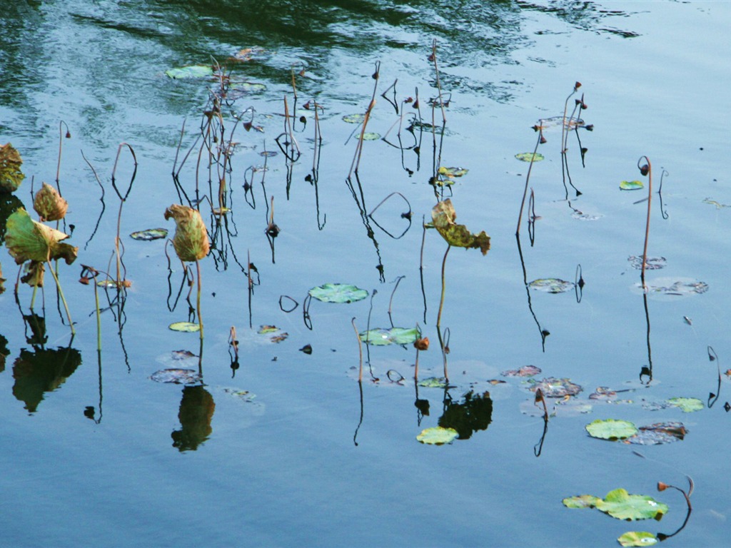 Landscape photography (4) (Li Shanquan works) #18 - 1024x768