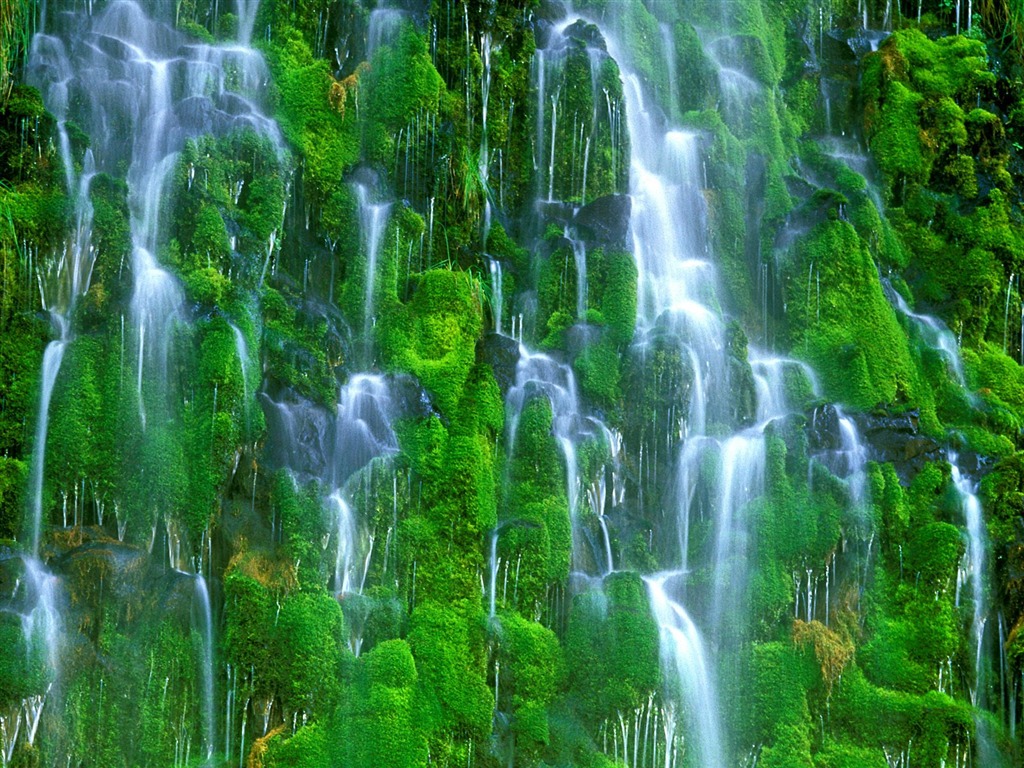 Waterfall streams wallpaper (7) #20 - 1024x768
