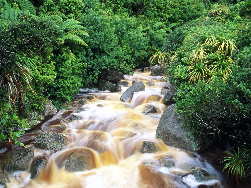 Cascada arroyos fondo de pantalla (9) #3 - 1024x768