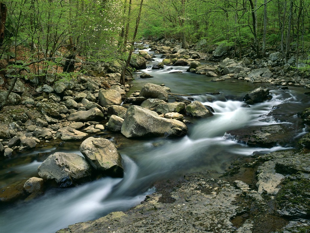 Waterfall streams wallpaper (10) #17 - 1024x768