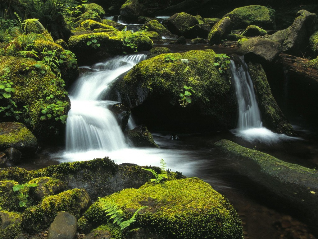 Waterfall streams wallpaper (10) #18 - 1024x768