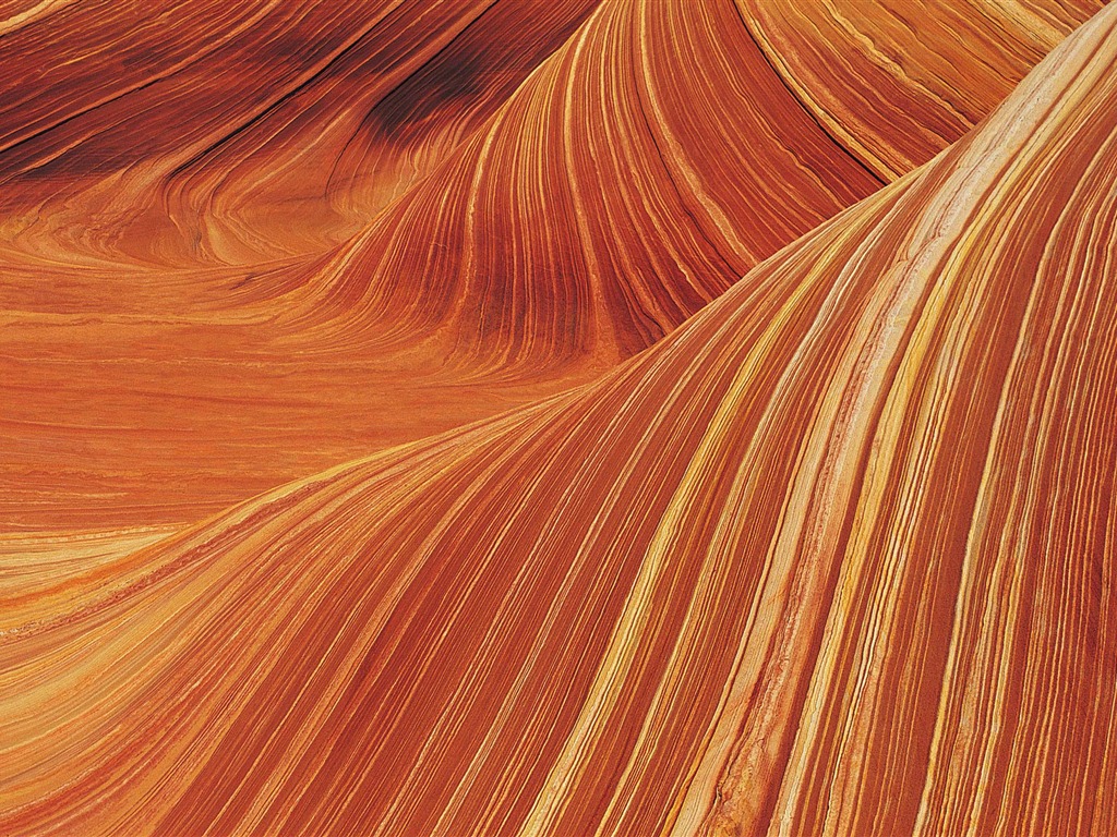 Système Mac OS X HD Wallpaper (2) #7 - 1024x768