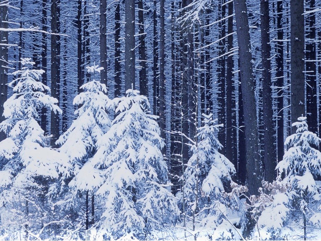 Fond d'écran panoramique de neige (1) #2 - 1024x768