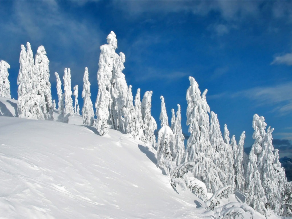 Fond d'écran panoramique de neige (1) #4 - 1024x768