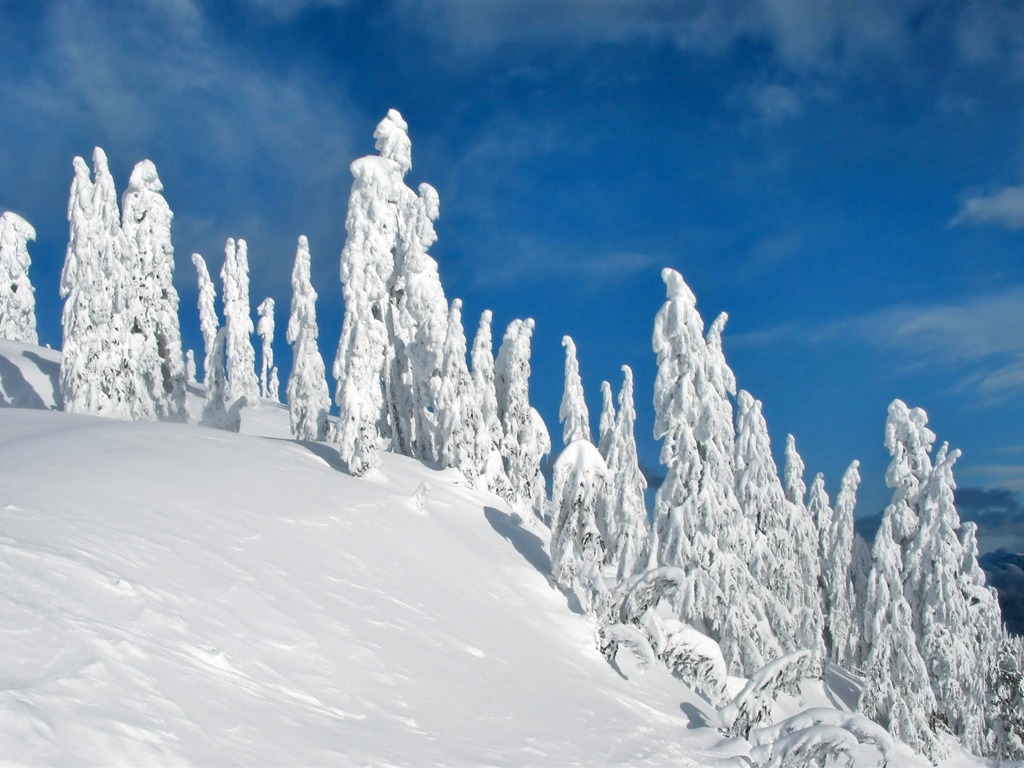 寬屏雪景 壁紙(一) #4 - 1024x768