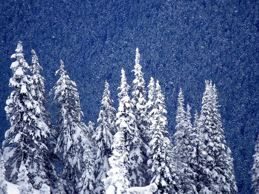 Fond d'écran panoramique de neige (1) #14 - 1024x768