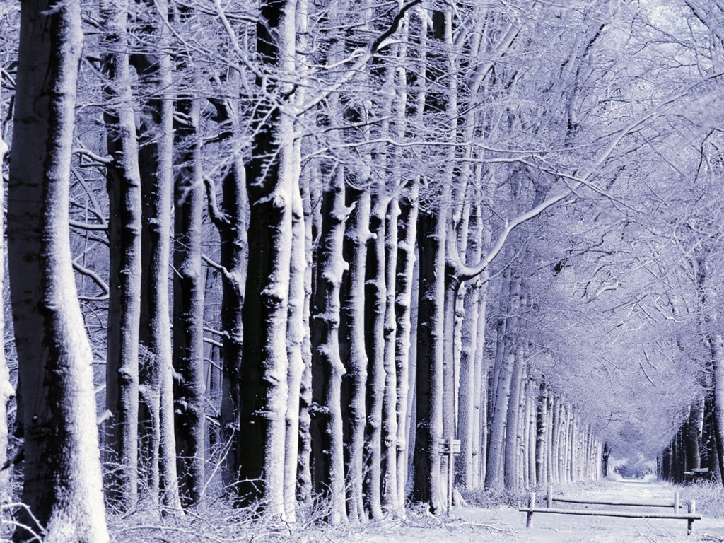 Fond d'écran panoramique de neige (1) #18 - 1024x768