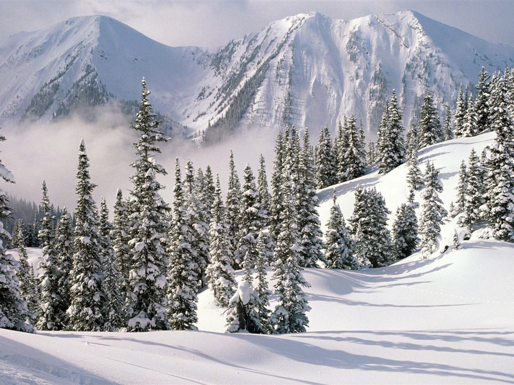 Fond d'écran panoramique de neige (1) #19 - 1024x768
