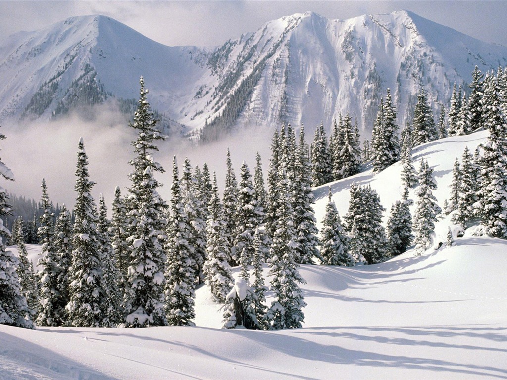 寬屏雪景 壁紙(一) #19 - 1024x768