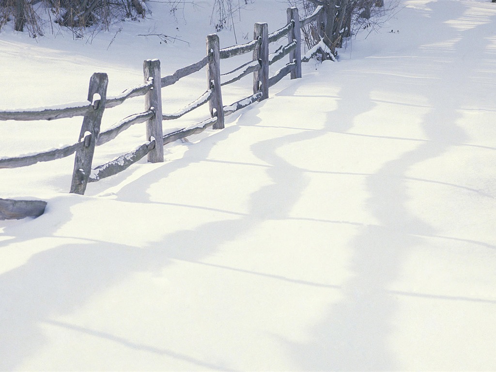 Snow widescreen wallpaper (2) #8 - 1024x768