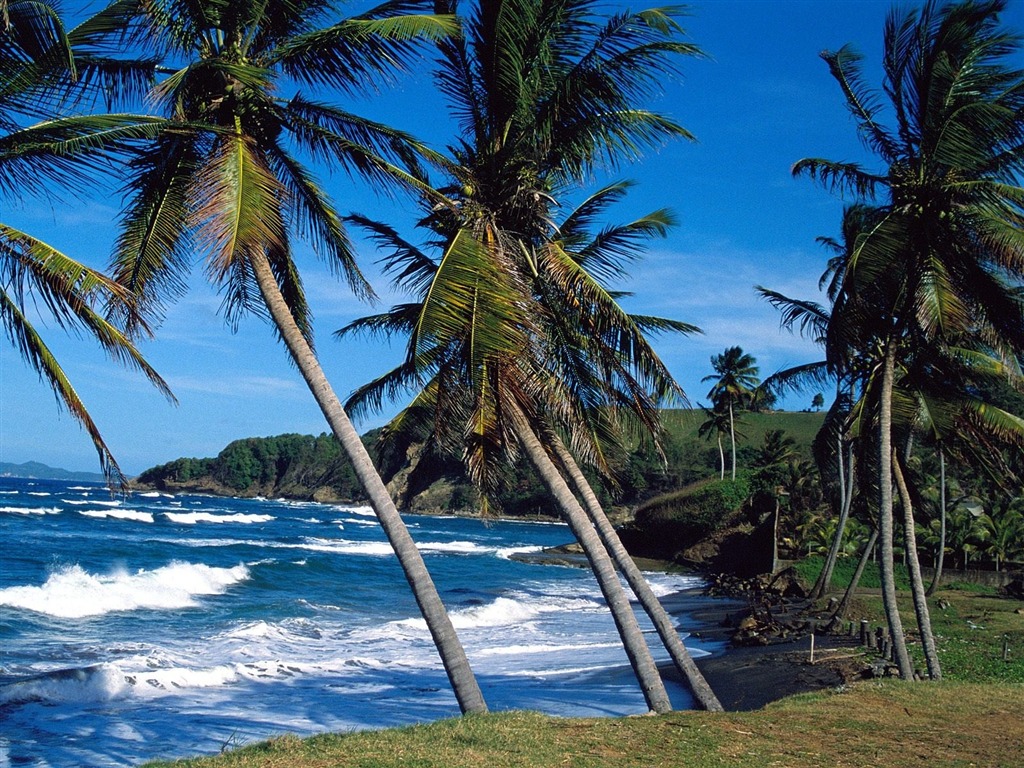 Fonds d'écran paysage de plage (6) #10 - 1024x768