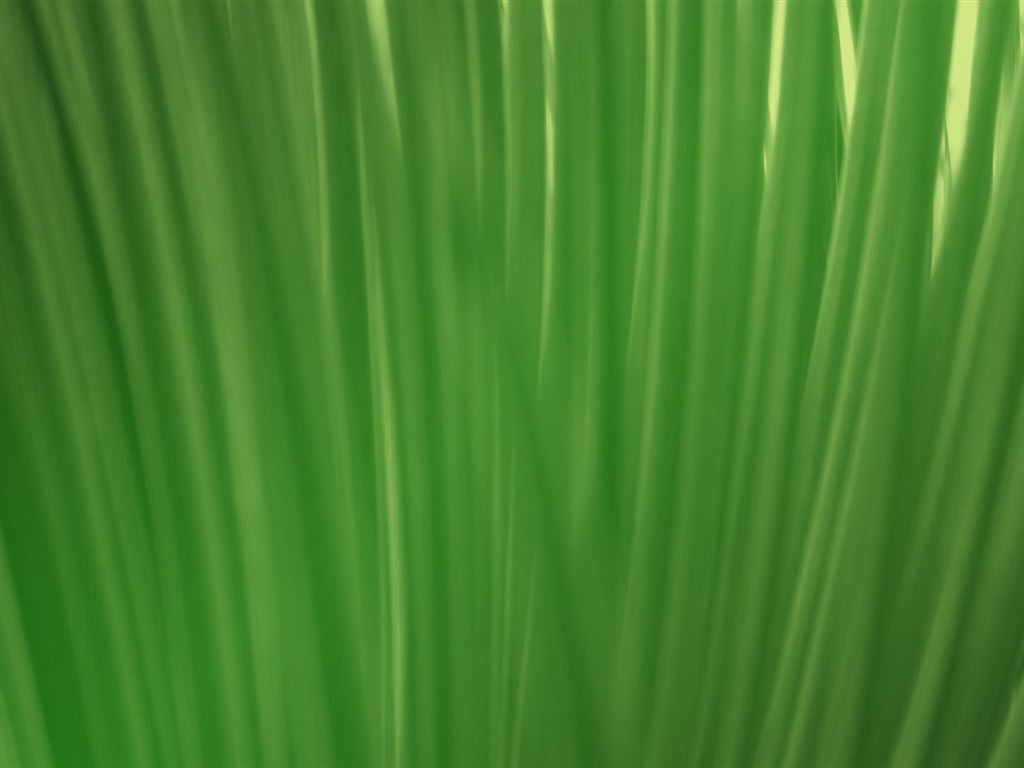Vladstudio wallpaper album (10) #12 - 1024x768