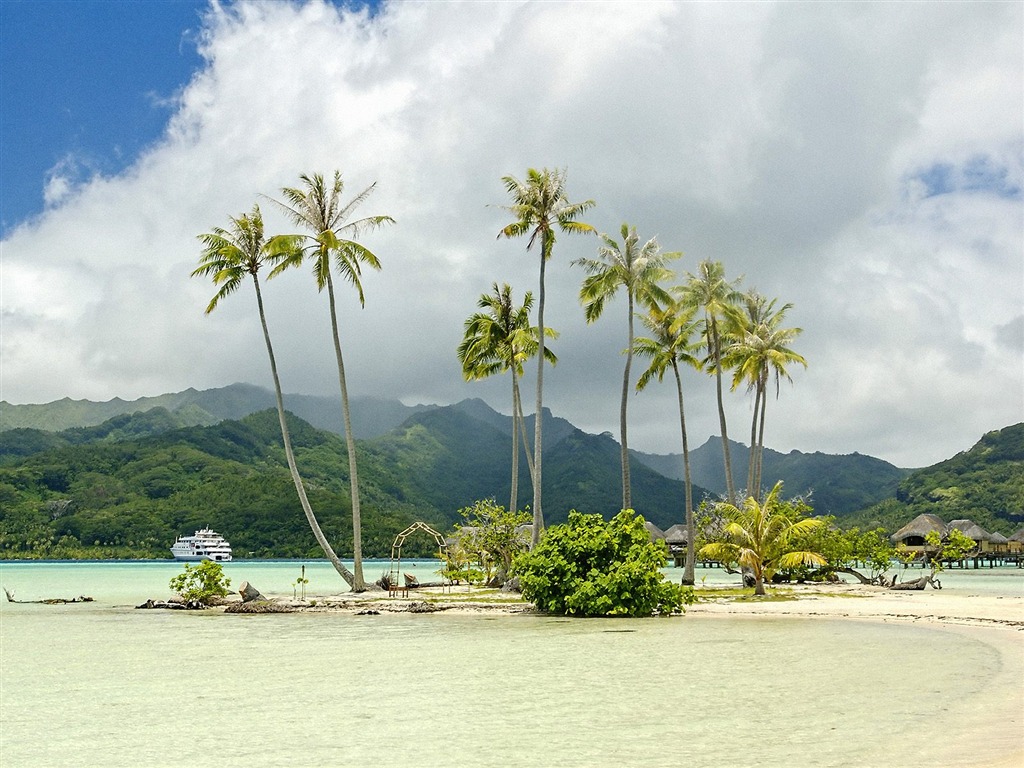 Fonds d'écran paysage de plage (7) #9 - 1024x768