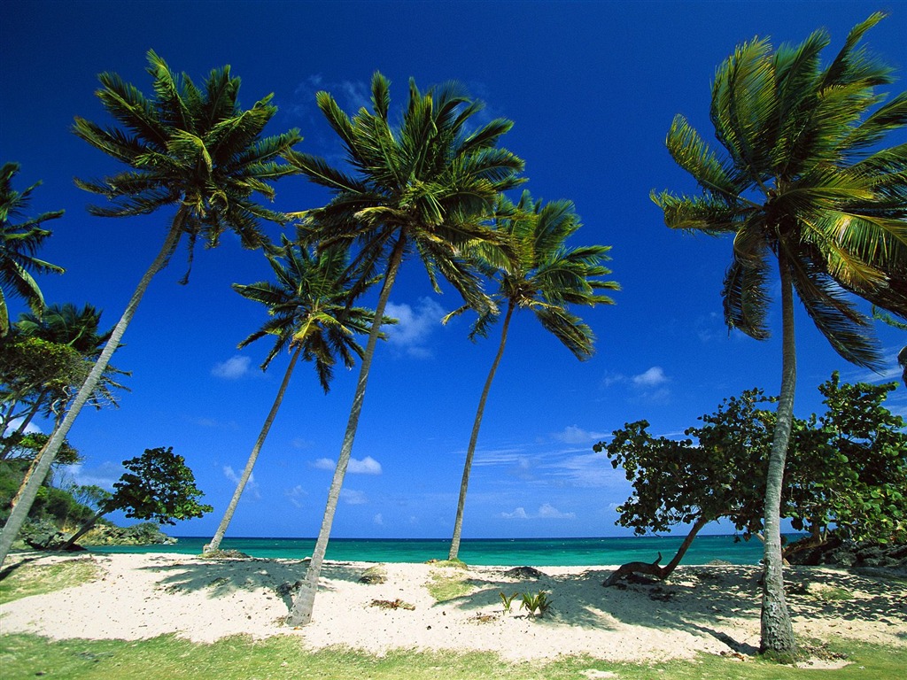 Fonds d'écran paysage de plage (7) #13 - 1024x768