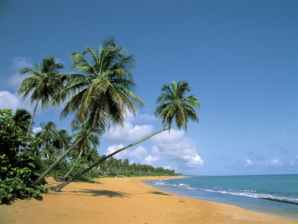 Fonds d'écran paysage de plage (7) #14 - 1024x768