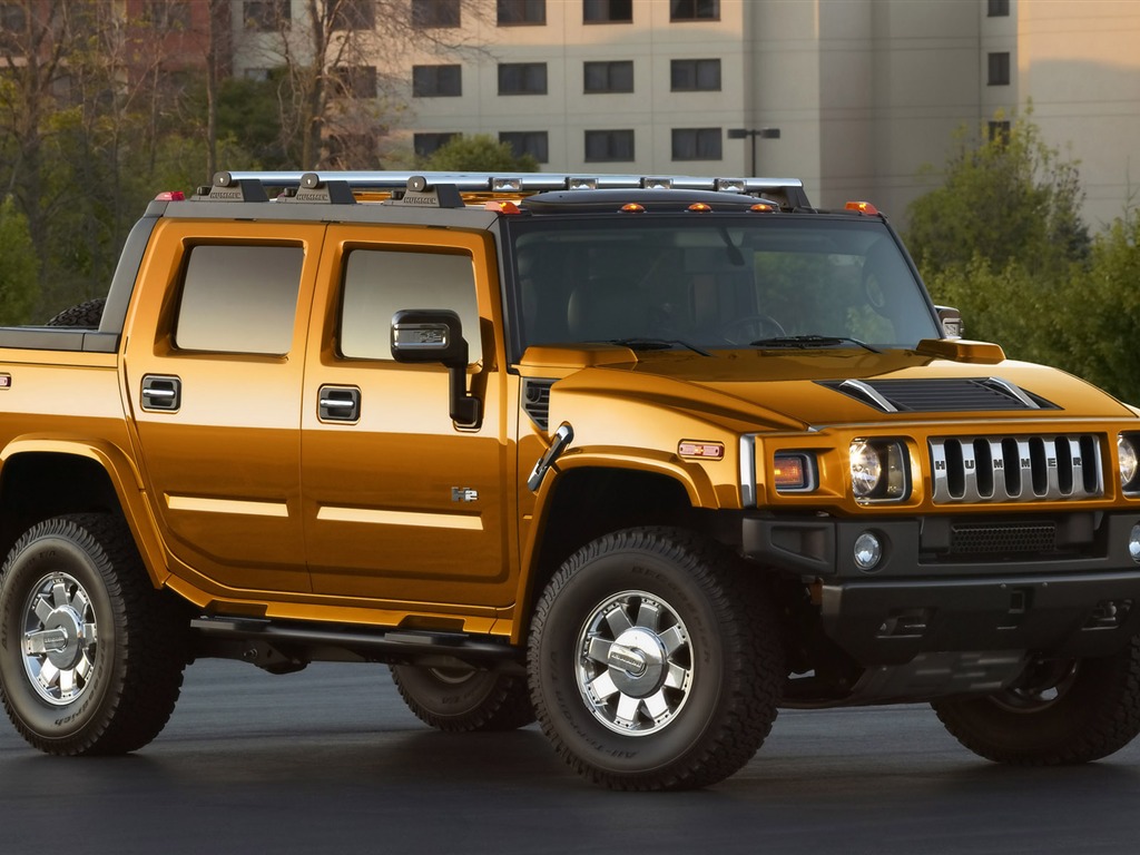 Hummer disco fondo de pantalla (7) #12 - 1024x768