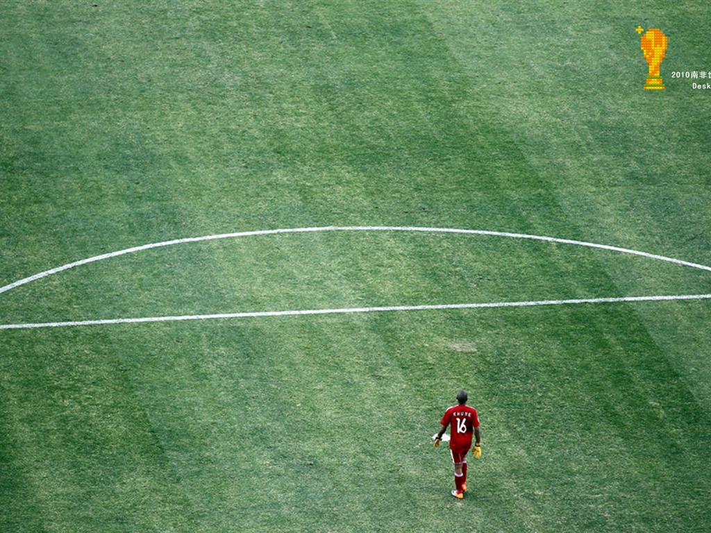 Sudáfrica la Copa Mundial de fondos de escritorio de serie (3) #4 - 1024x768