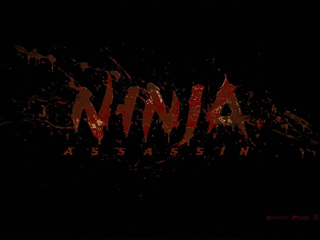 Ninja Assassin 忍者刺客 高清壁纸23 - 1024x768