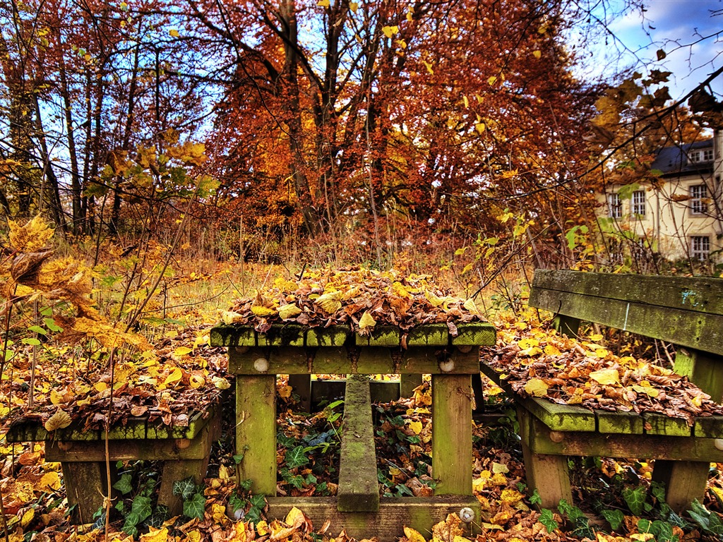 ruines de la cité des images d'écran HD #11 - 1024x768