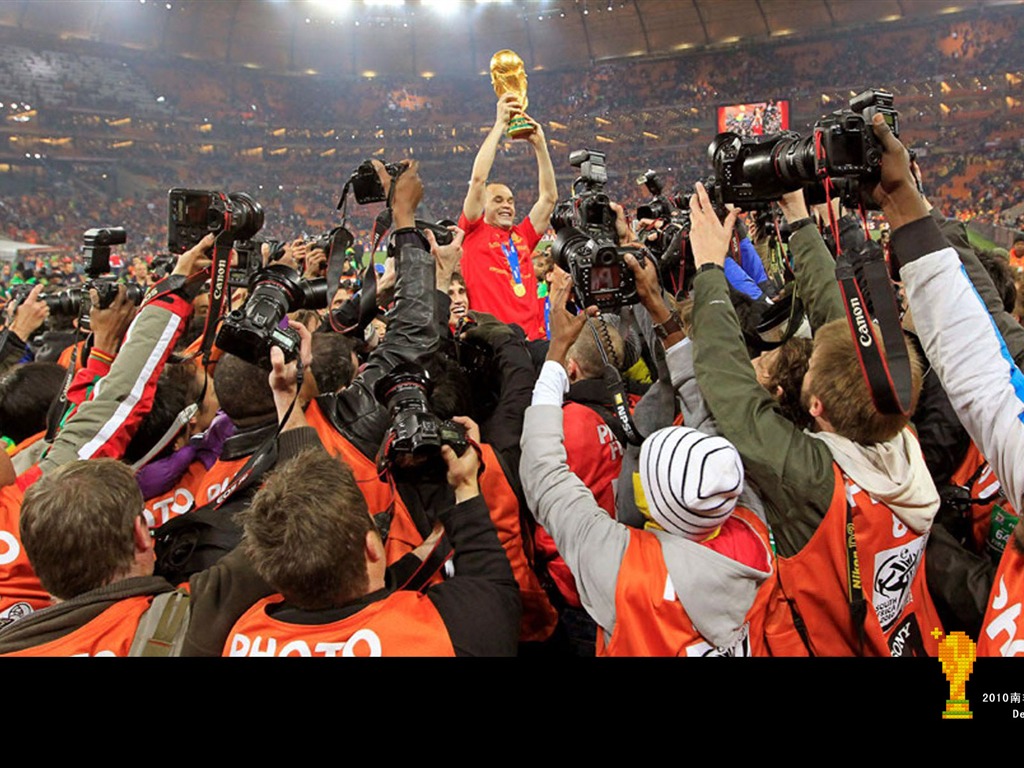 South Africa World Cup series wallpaper (6) #17 - 1024x768