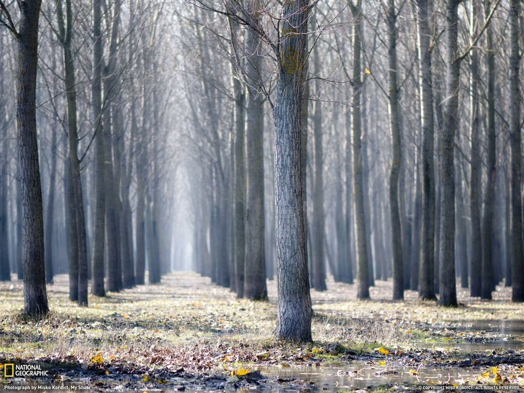 Tapeta Svět zeměpisných Krajina příspěvky (5) #2 - 1024x768