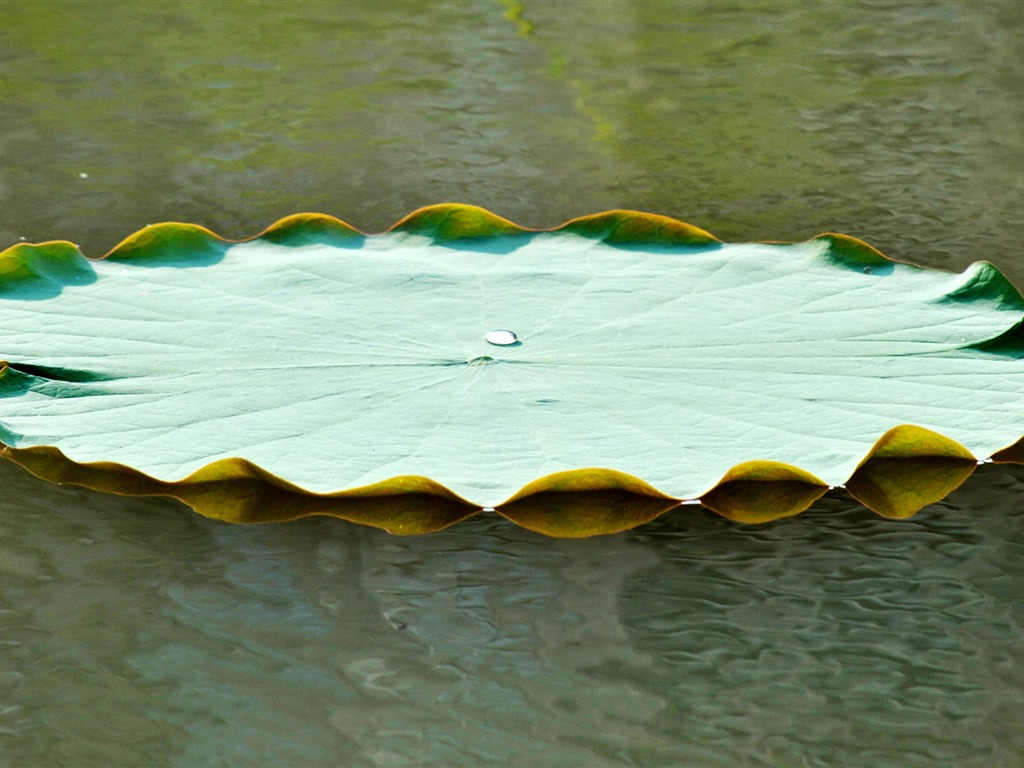 風景写真 (2) (genzhukouの作品) #10 - 1024x768